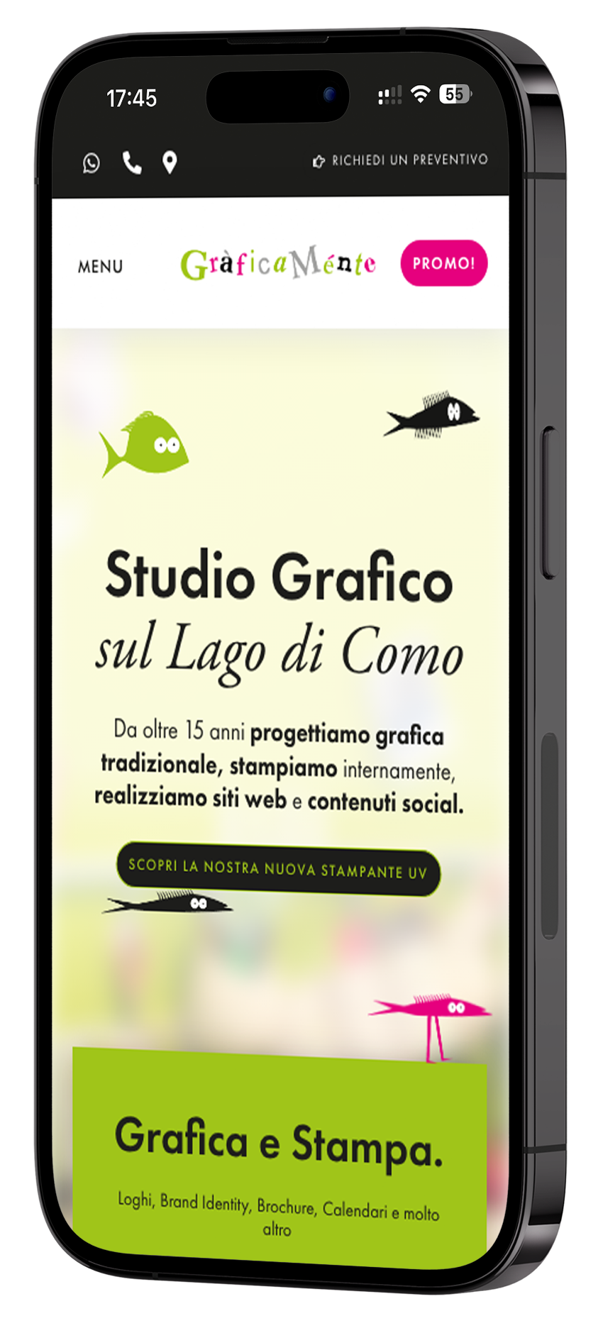 sito-web-graficamente